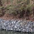 Understanding Riprap for Erosion Control