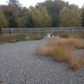 Extended Detention Basins: Managing Erosion and Stormwater Runoff