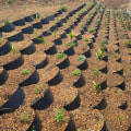 Terracing: An Effective Method for Erosion Control