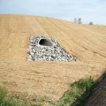 Everything you need to know about erosion control blankets