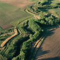 Vegetative Buffer Strips: A Natural Solution for Erosion Control