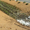 A Complete Guide to Bioretention Systems for Erosion Control and Stormwater Management