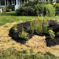 How to Create a Low-Maintenance Rain Garden for Erosion Control
