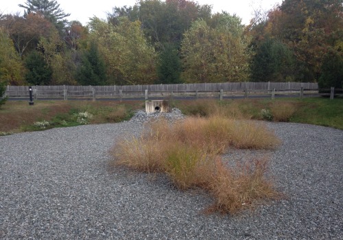Extended Detention Basins: Managing Erosion and Stormwater Runoff
