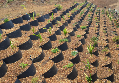 Terracing: An Effective Method for Erosion Control
