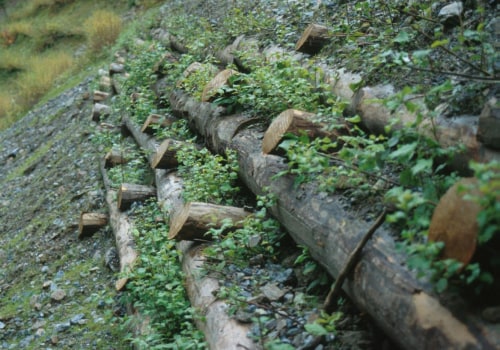 What You Need to Know About Live Crib Walls for Erosion Control