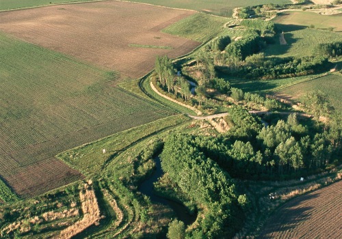 Vegetative Buffer Strips: A Natural Solution for Erosion Control