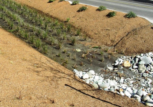 A Complete Guide to Bioretention Systems for Erosion Control and Stormwater Management