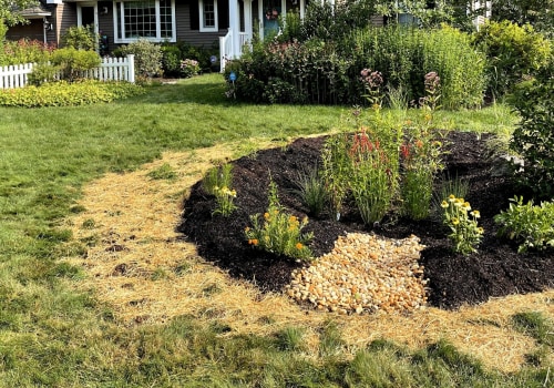 How to Create a Low-Maintenance Rain Garden for Erosion Control